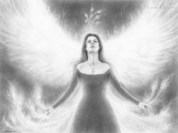 Phoenix Shapeshifter